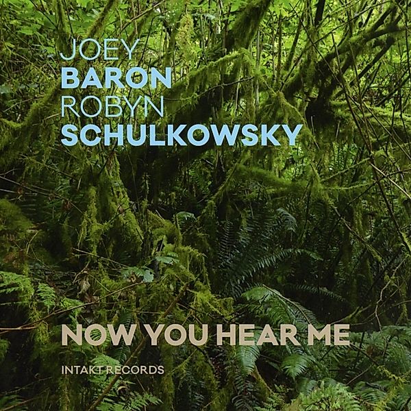 Now You Hear Me, Robyn Schulkowsky, Joey Baron