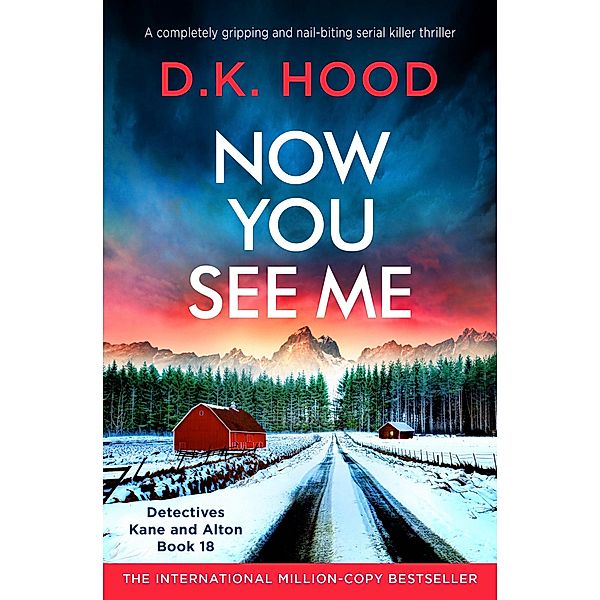 Now You See Me / Detectives Kane and Alton Bd.18, D. K. Hood