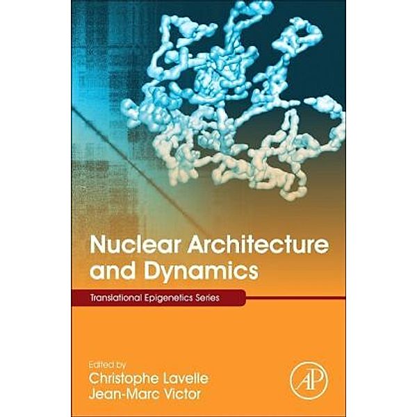 Nuclear Architecture and Dynamics