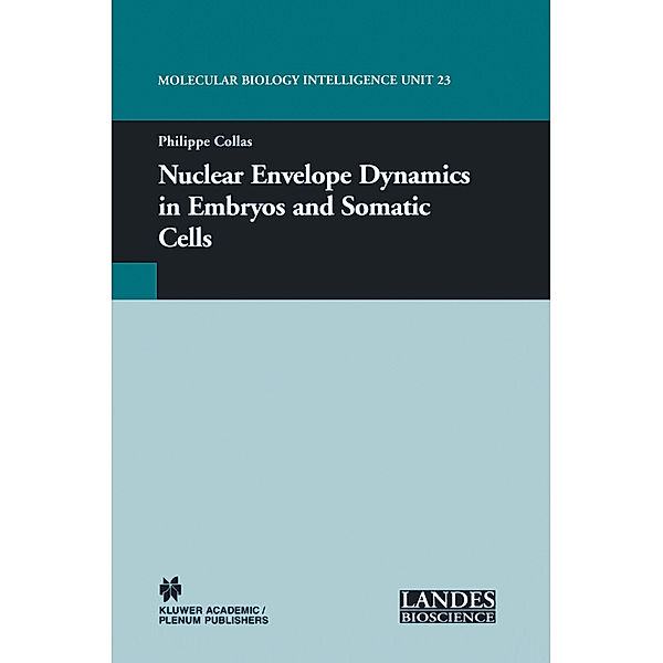 Nuclear Envelope Dynamics in Embryos and Somatic Cells
