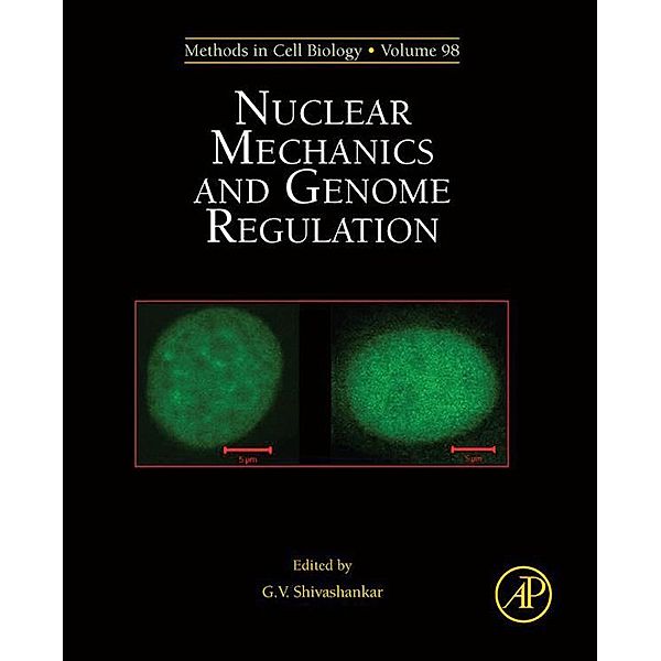 Nuclear Mechanics and Genome Regulation