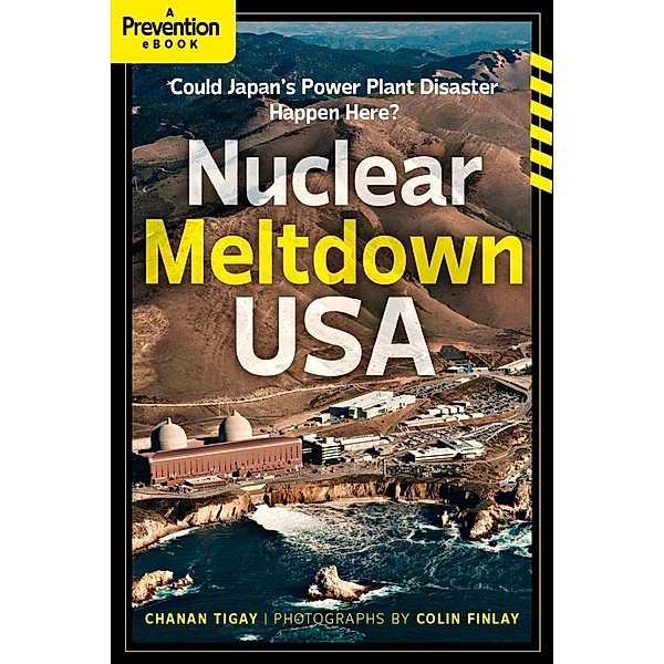 Nuclear Meltdown, USA, Chanan Tigay