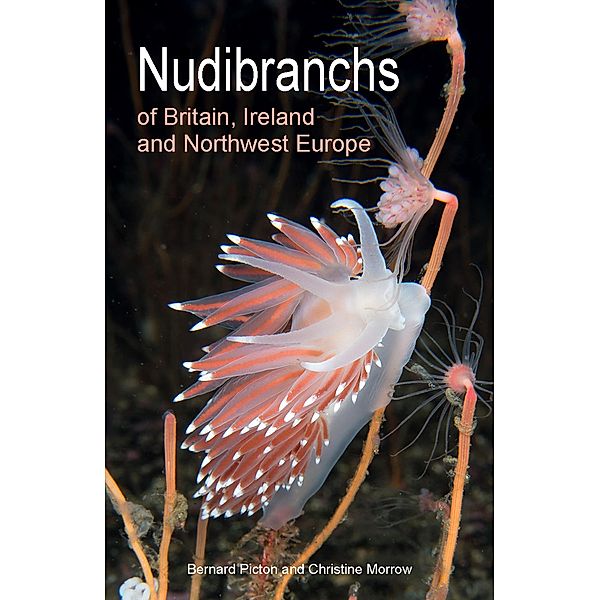 Nudibranchs of Britain, Ireland and Northwest Europe / Wild Nature Press, Bernard Picton, Christine Morrow