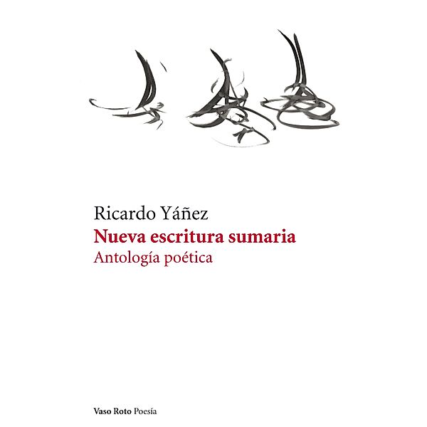 Nueva escritura sumaria / Poesía Bd.20, Ricardo Yáñez