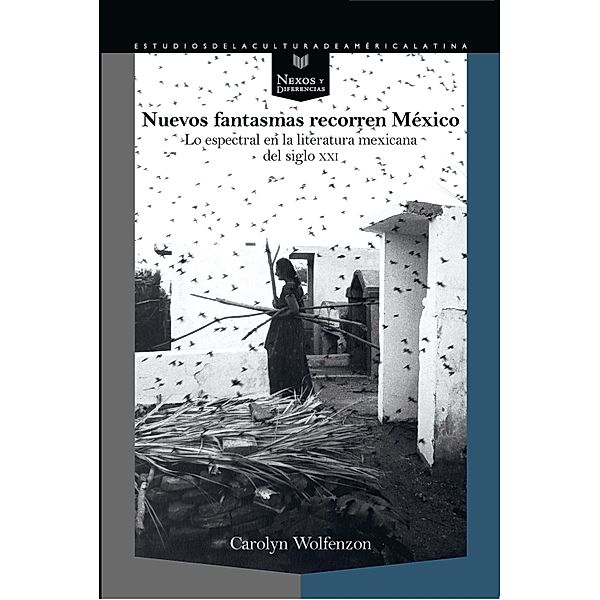 Nuevos fantasmas recorren México / Nexos y Diferencias. Estudios de la Cultura de América Latina Bd.65, Carolyn Wolfenzon