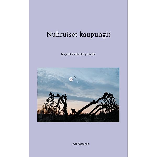 Nuhruiset kaupungit, Ari Koponen