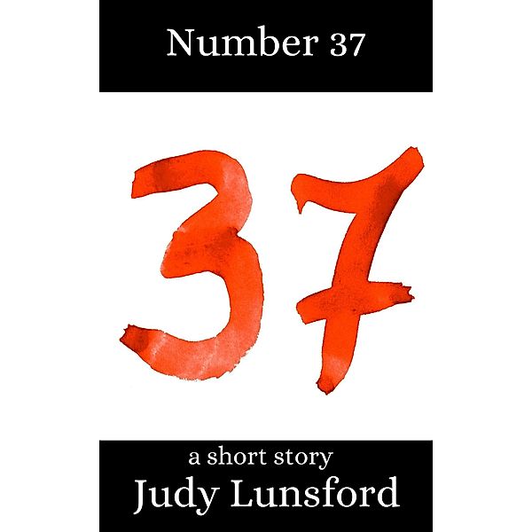 Number 37: A Short Story, Judy Lunsford