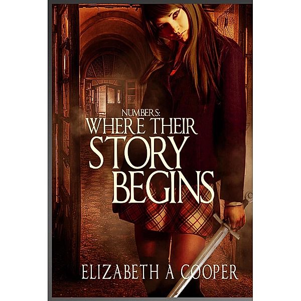 Numbers: Where Their Story Begins, Elizabeth A Cooper