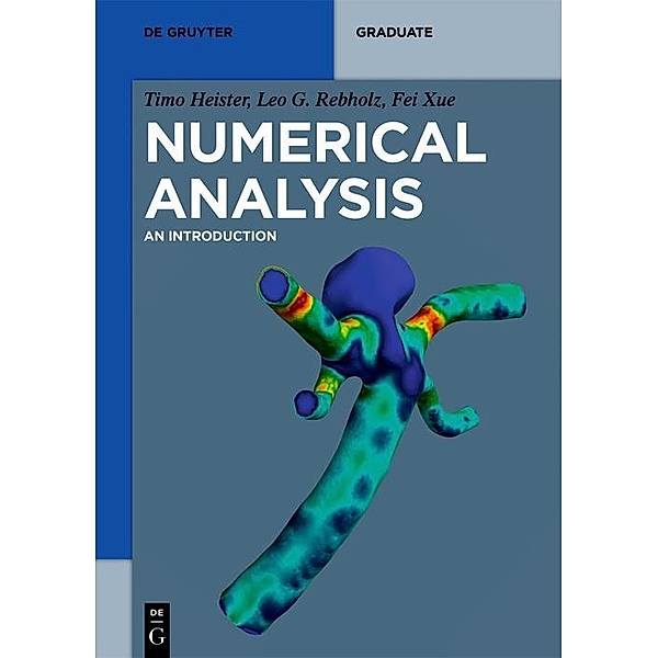 Numerical Analysis / De Gruyter Textbook, Timo Heister, Leo G. Rebholz, Fei Xue