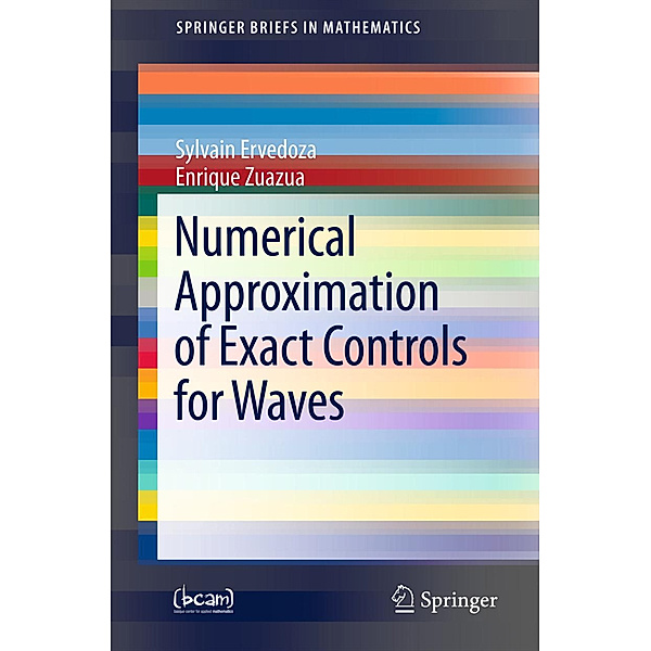 Numerical Approximation of Exact Controls for Waves, Sylvain Ervedoza, Enrique Zuazua