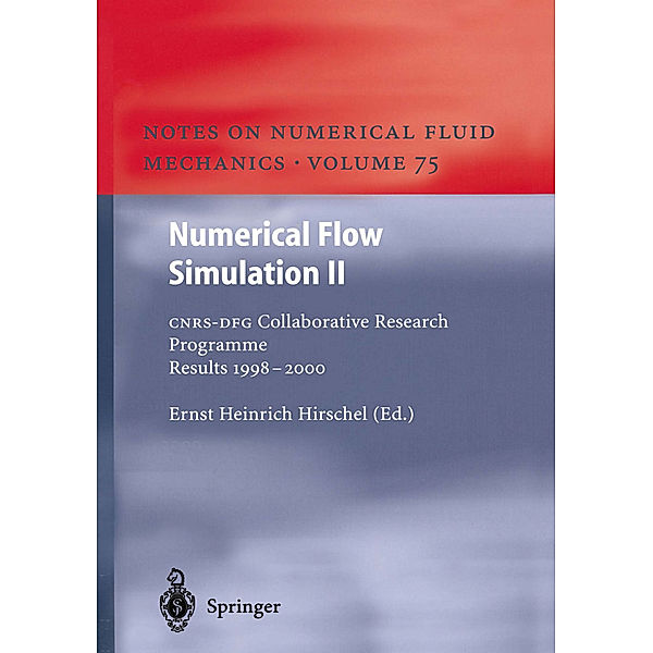 Numerical Flow Simulation II