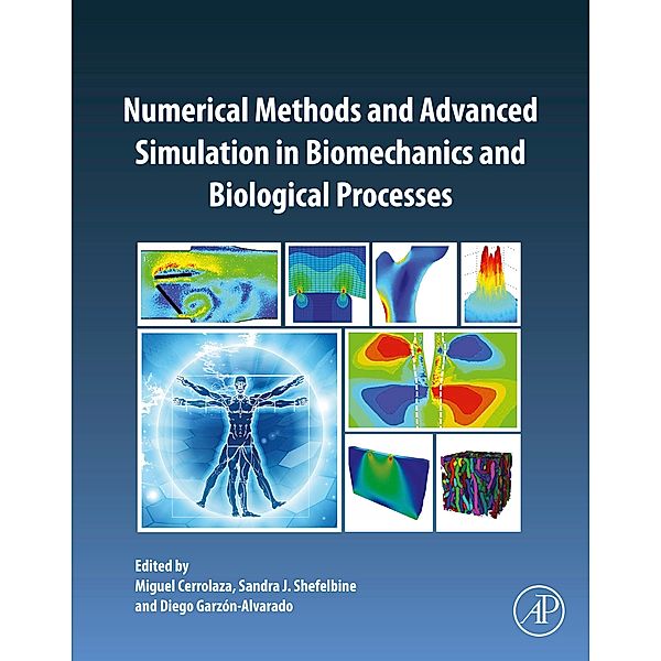 Numerical Methods and Advanced Simulation in Biomechanics and Biological Processes