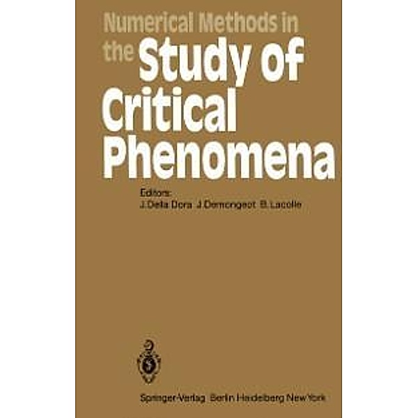 Numerical Methods in the Study of Critical Phenomena / Springer Series in Synergetics Bd.9