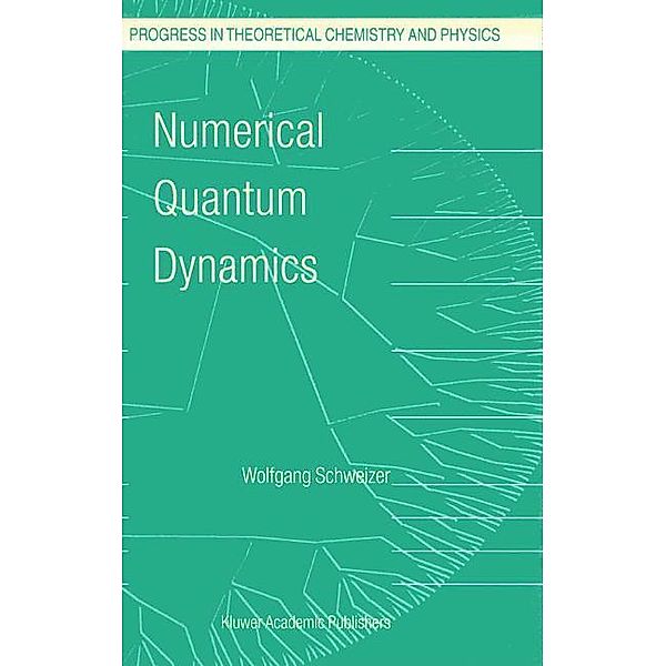 Numerical Quantum Dynamics, W. Schweizer