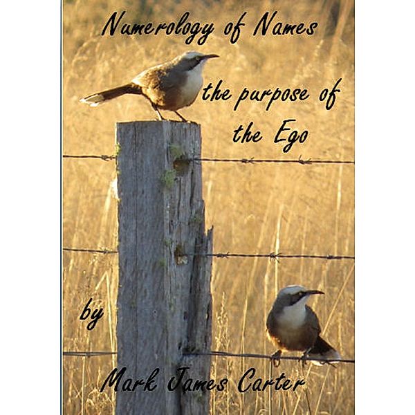 Numerology of Names: the Purpose of the Ego / Mark James Carter, Mark James Carter