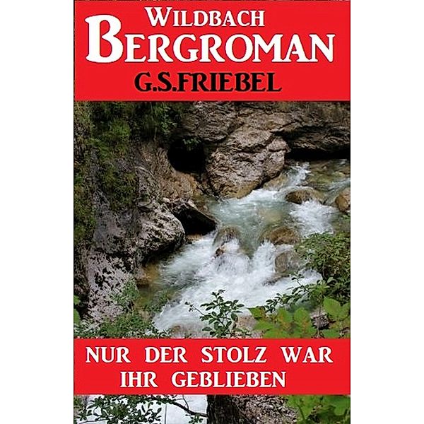 Nur der Stolz war ihr geblieben: Bergroman, G. S. Friebel