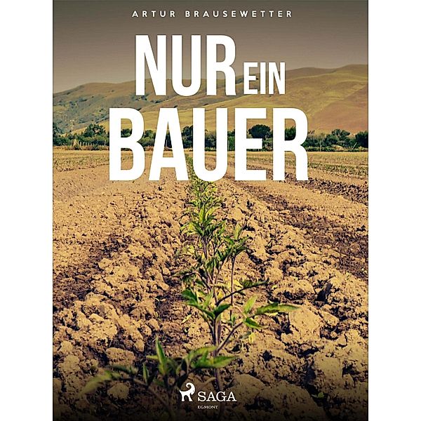 Nur ein Bauer, Artur Brausewetter