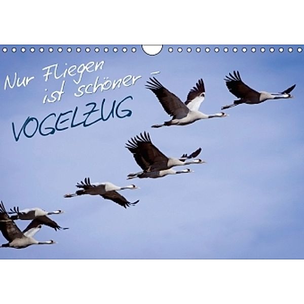 Nur Fliegen ist schöner Vogelzug (Wandkalender 2014 DIN A4 quer), CALVENDO