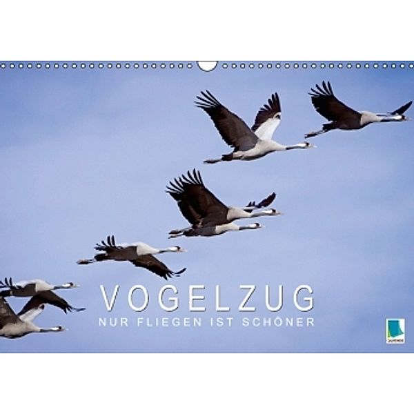 Nur Fliegen ist schöner Vogelzug (Wandkalender 2015 DIN A3 quer), CALVENDO