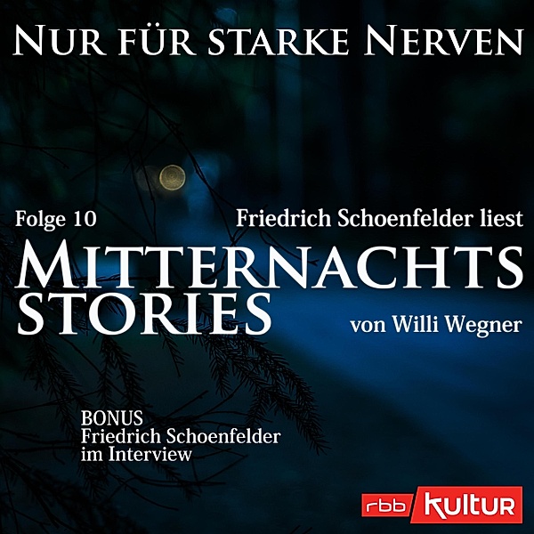 Nur für starke Nerven - 10 - Mitternachtsstories von Willi Wegner, Willi Wegner