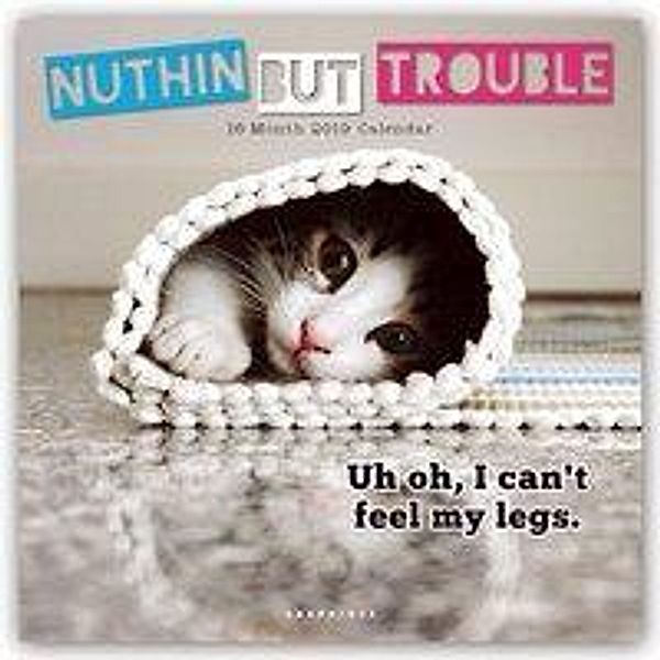 Nuthin but Trouble - Katzen 2019 - 16-Monatskalender