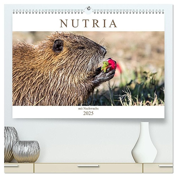 NUTRIA mit Nachwuchs (hochwertiger Premium Wandkalender 2025 DIN A2 quer), Kunstdruck in Hochglanz, Calvendo, Schnellewelten