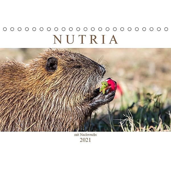 NUTRIA mit Nachwuchs (Tischkalender 2021 DIN A5 quer), Schnellewelten