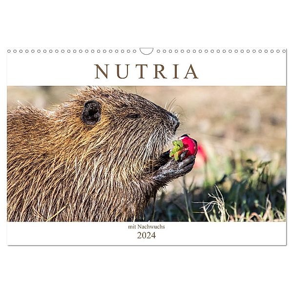 NUTRIA mit Nachwuchs (Wandkalender 2024 DIN A3 quer), CALVENDO Monatskalender, Schnellewelten