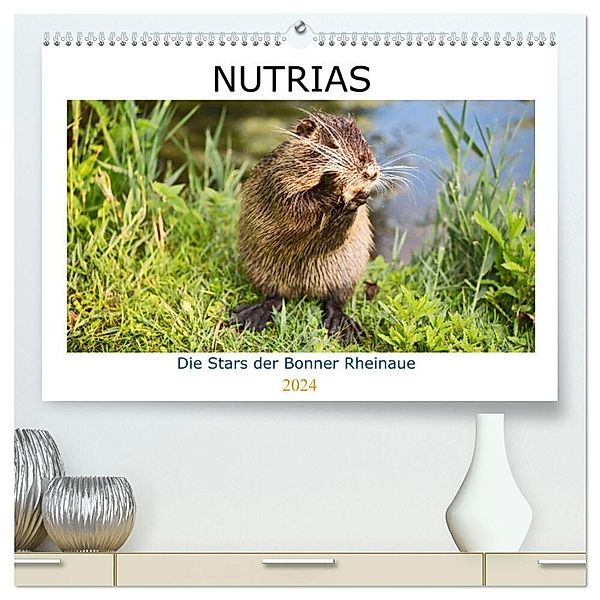 NUTRIAS - Die Stars der Bonner Rheinaue (hochwertiger Premium Wandkalender 2024 DIN A2 quer), Kunstdruck in Hochglanz, U boeTtchEr