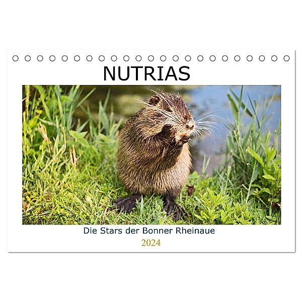 NUTRIAS - Die Stars der Bonner Rheinaue (Tischkalender 2024 DIN A5 quer), CALVENDO Monatskalender, U boeTtchEr
