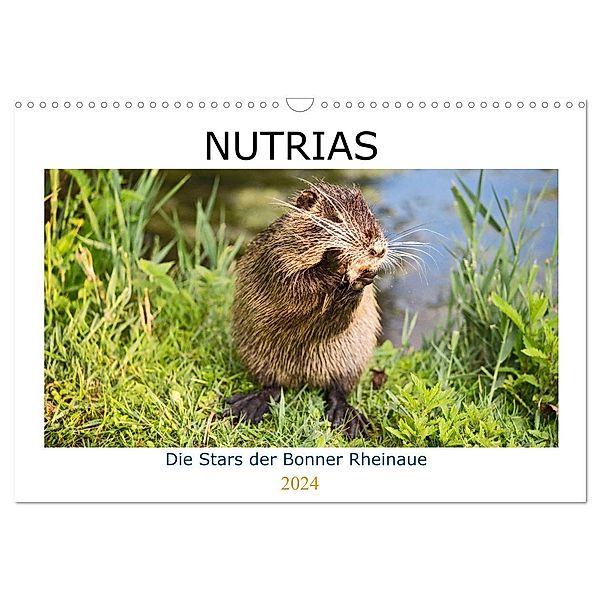 NUTRIAS - Die Stars der Bonner Rheinaue (Wandkalender 2024 DIN A3 quer), CALVENDO Monatskalender, U boeTtchEr