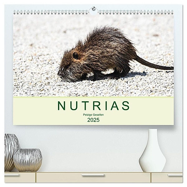 NUTRIAS - Pelzige Gesellen (hochwertiger Premium Wandkalender 2025 DIN A2 quer), Kunstdruck in Hochglanz, Calvendo, Robert Styppa