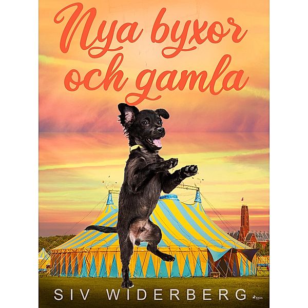 Nya byxor och gamla, Siv Widerberg