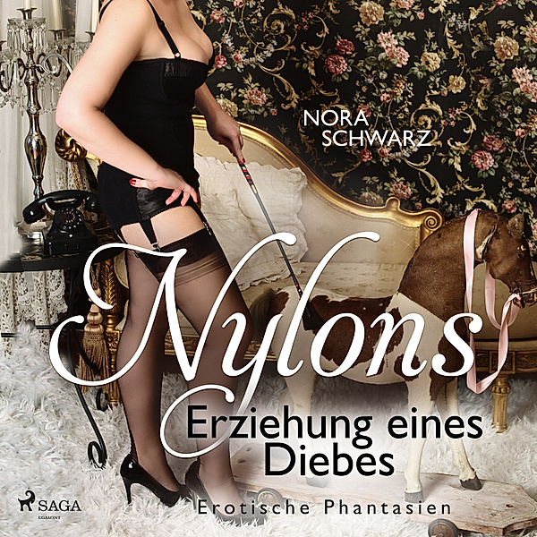 NYLONS - 6 - Nylons: Erziehung eines Diebes - Erotische Phantasien, Nora Schwarz
