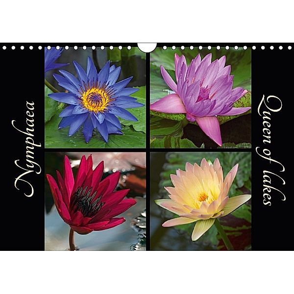 Nymphaea - Queen of lakes (Wall Calendar 2018 DIN A4 Landscape), Dagmar Laimgruber