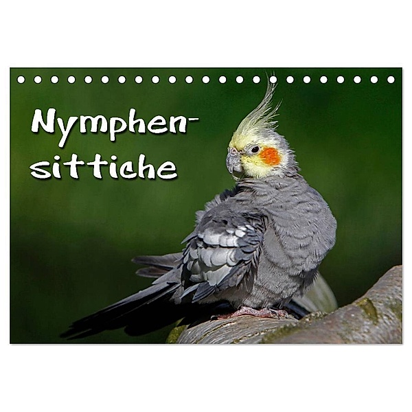 Nymphensittiche (Tischkalender 2024 DIN A5 quer), CALVENDO Monatskalender, Martina Berg