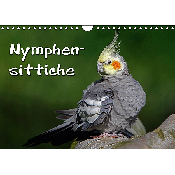 Nymphensittiche (Wandkalender 2019 DIN A4 quer), Martina Berg