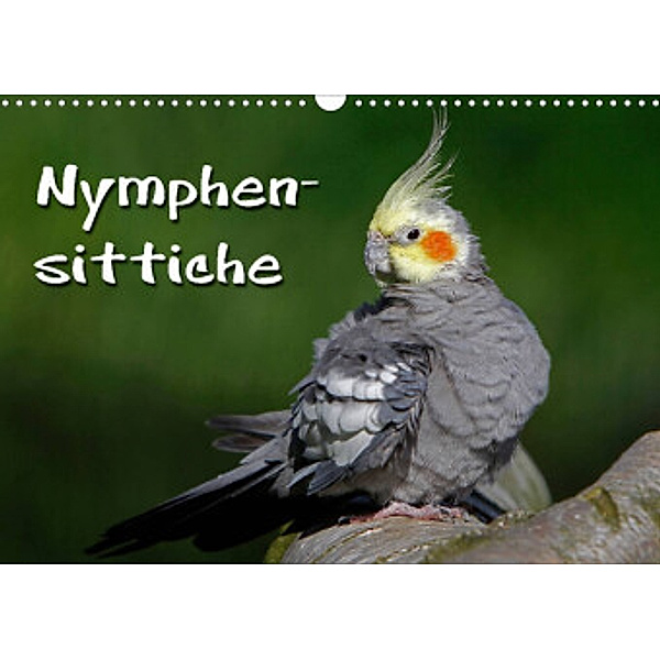 Nymphensittiche (Wandkalender 2022 DIN A3 quer), Martina Berg