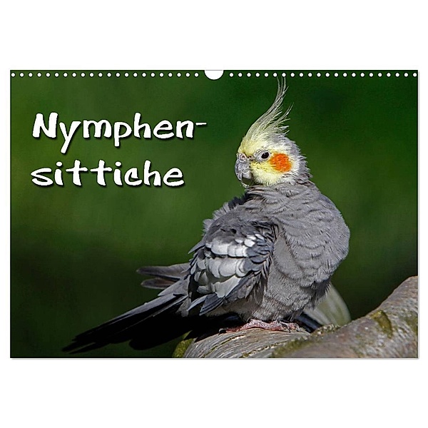 Nymphensittiche (Wandkalender 2024 DIN A3 quer), CALVENDO Monatskalender, Martina Berg