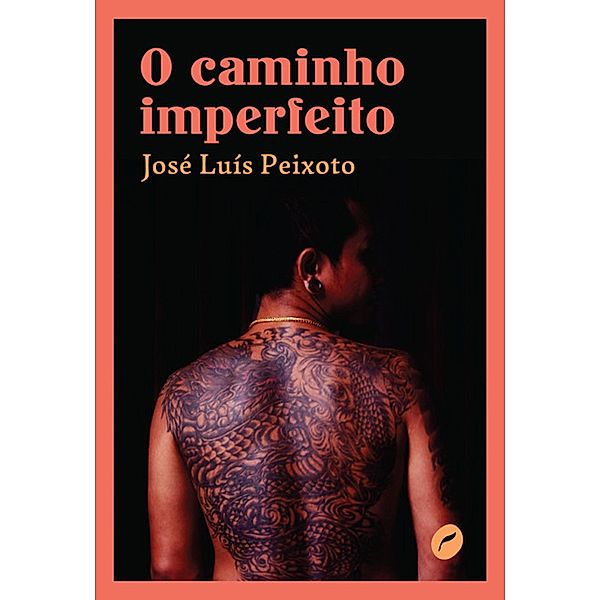 O caminho imperfeito, José Luís Peixoto