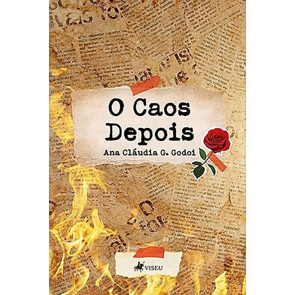 O Caos Depois, Ana Cláudia G. Godoi