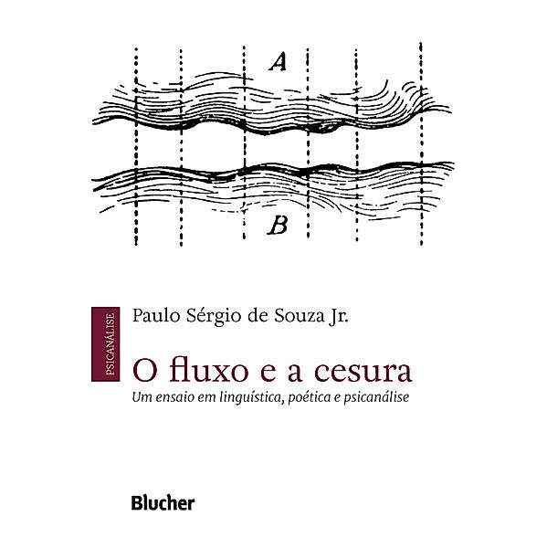 O fluxo e a cesura, Paulo Sérgio de Souza Jr.