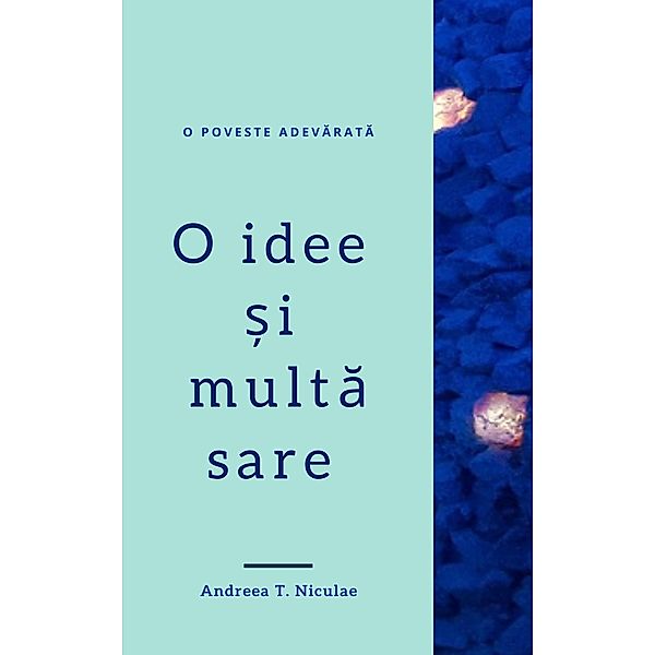 O idee si multa sare, Andreea T. Niculae