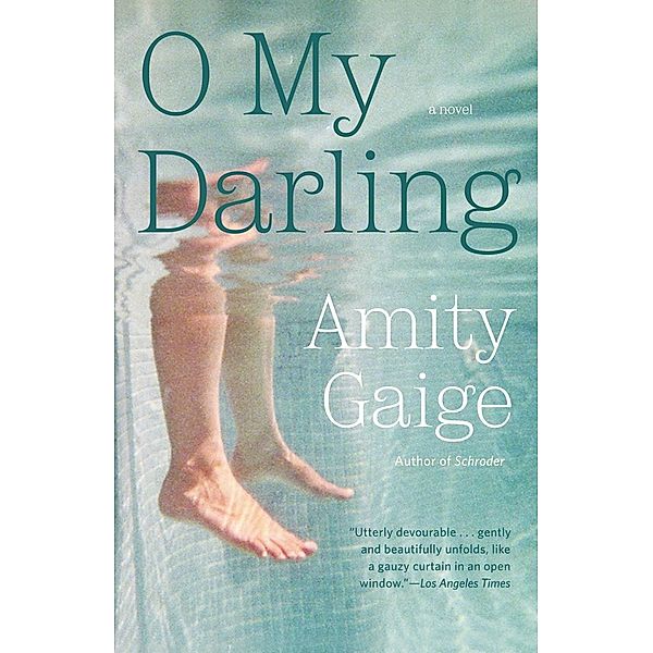 O My Darling, Amity Gaige