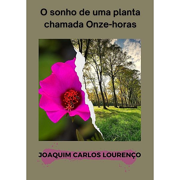 O sonho de uma planta chamada Onze-horas, Joaquim Carlos Lourenço