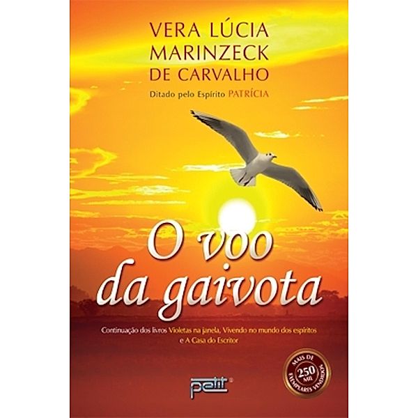 O voo da gaivota, Vera Lúcia Marinzeck de Carvalho