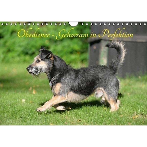 Obedience - Gehorsam in Perfektion (Wandkalender 2016 DIN A4 quer), Helma Spona