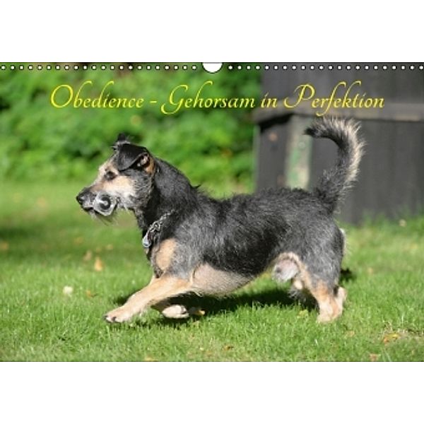 Obedience - Gehorsam in Perfektion (Wandkalender 2016 DIN A3 quer), Helma Spona