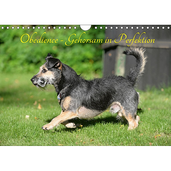 Obedience - Gehorsam in Perfektion (Wandkalender 2019 DIN A4 quer), Helma Spona