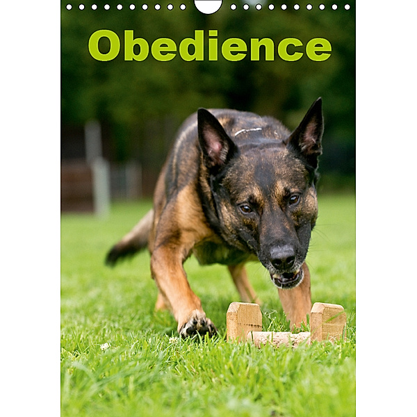 Obedience (Wandkalender 2019 DIN A4 hoch), Helma Spona / HSV Crazy-Dogs Niederrhein e.V.